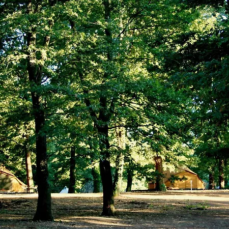 Oak Glamping Relax Οργανωμένο κάμπινγκ